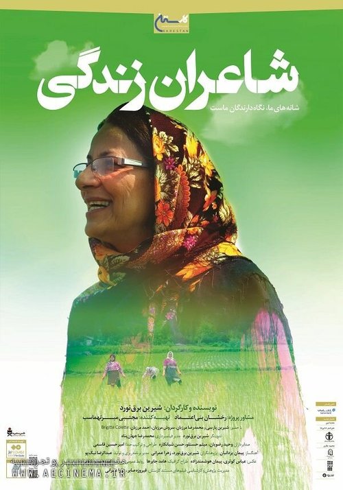 Смотреть  онлайн в HD качестве 720p-1080p