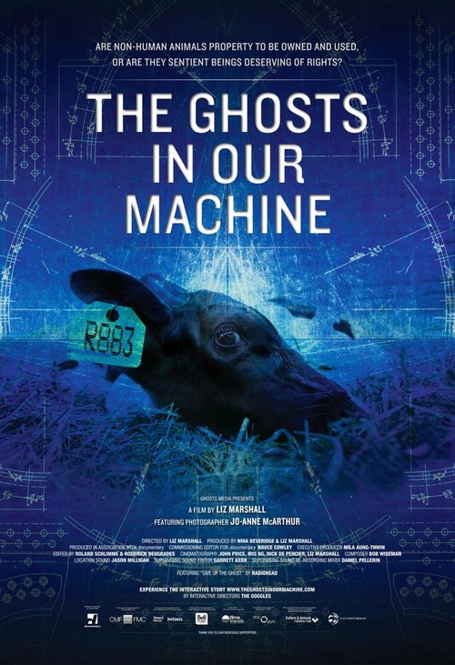 Смотреть Призраки в нашей машине онлайн в HD качестве 720p-1080p