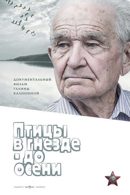 Смотреть Птицы в гнезде — до осени онлайн в HD качестве 720p-1080p