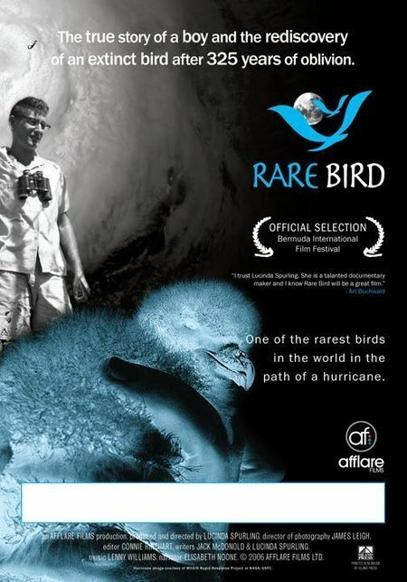 Смотреть  онлайн в HD качестве 720p-1080p