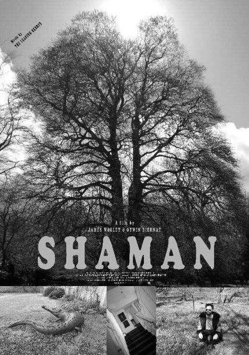 Смотреть Shaman в HD качестве 720p-1080p