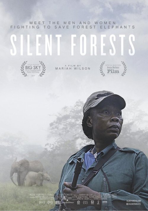 Смотреть Silent Forests в HD качестве 720p-1080p