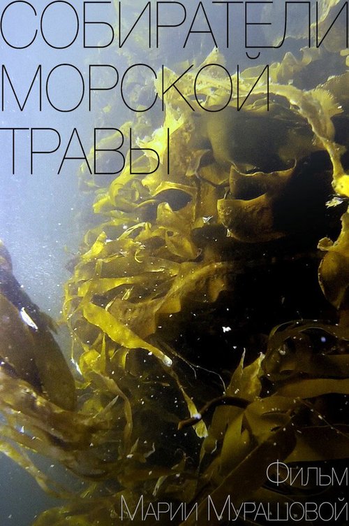 Смотреть Собиратели морской травы онлайн в HD качестве 720p-1080p