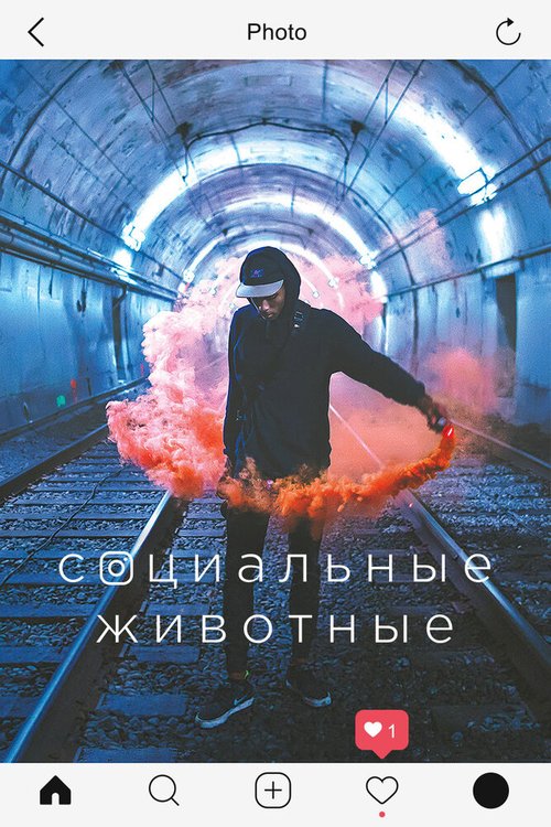 Смотреть Социальные животные онлайн в HD качестве 720p-1080p