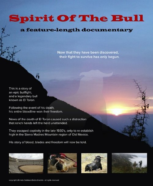 Смотреть  онлайн в HD качестве 720p-1080p