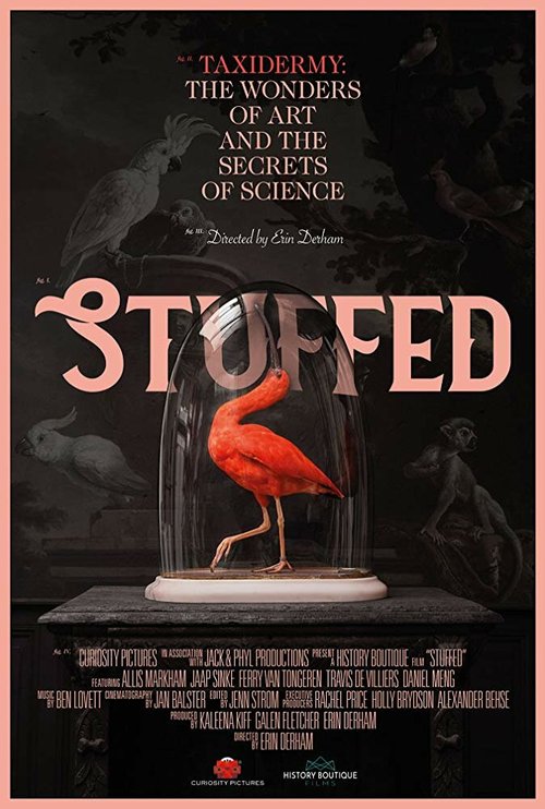 Смотреть Stuffed в HD качестве 720p-1080p