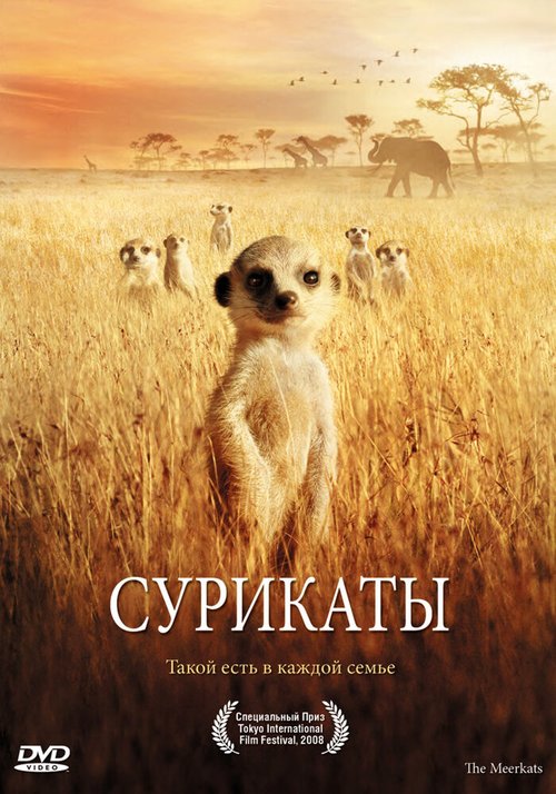 Смотреть Сурикаты онлайн в HD качестве 720p-1080p