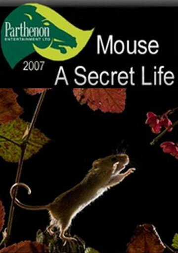 Смотреть Тайная жизнь мышей онлайн в HD качестве 720p-1080p