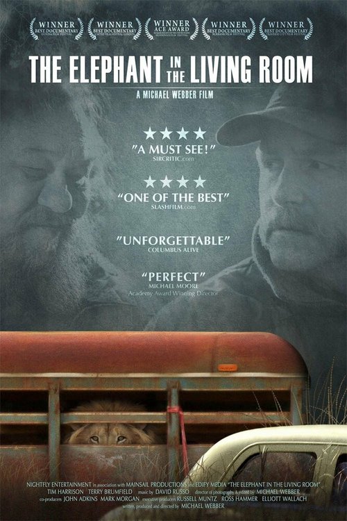 Смотреть  онлайн в HD качестве 720p-1080p