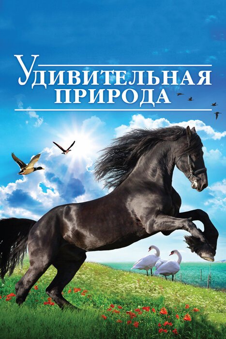 Смотреть Удивительная природа 3D онлайн в HD качестве 720p-1080p