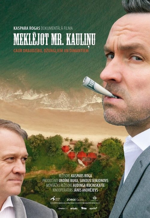 Смотреть В поисках мистера Каулиня в HD качестве 720p-1080p