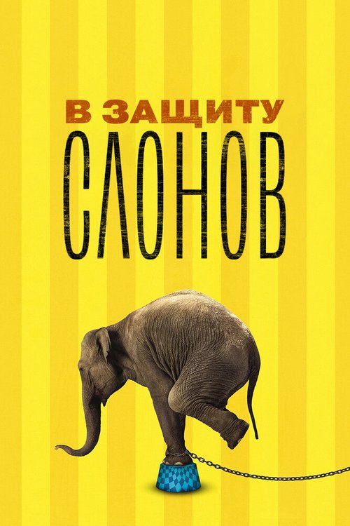 Смотреть В защиту слонов онлайн в HD качестве 720p-1080p