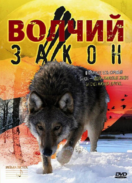 Смотреть Волчий закон онлайн в HD качестве 720p-1080p