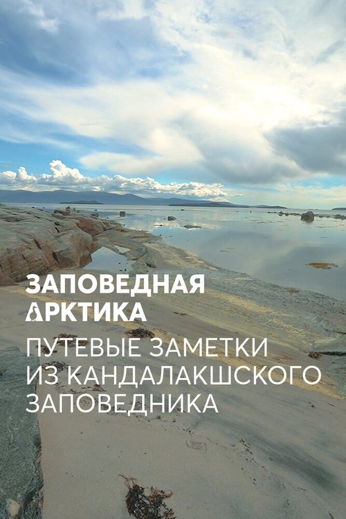 Смотреть Заповедная Арктика. Путевые заметки из Кандалакшского заповедника онлайн в HD качестве 720p-1080p