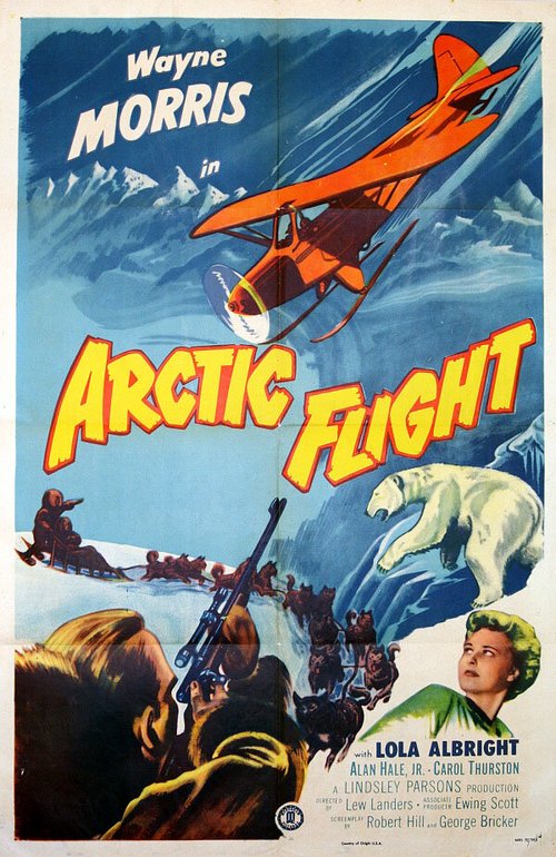 Смотреть Arctic Flight в HD качестве 720p-1080p