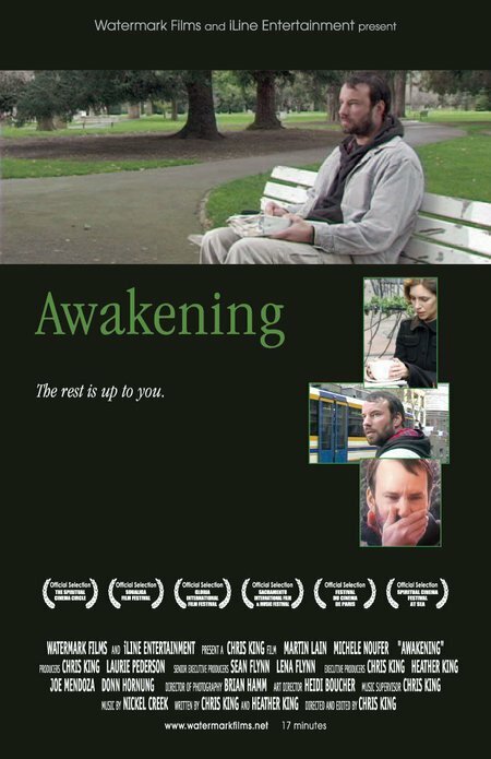 Смотреть Awakening в HD качестве 720p-1080p