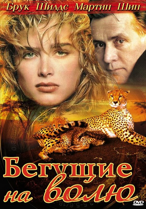 Смотреть Бегущие на волю онлайн в HD качестве 720p-1080p