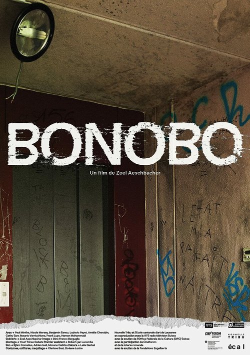 Смотреть Бонобо в HD качестве 720p-1080p