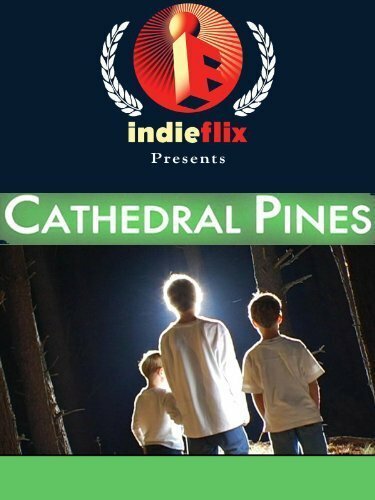 Смотреть Cathedral Pines в HD качестве 720p-1080p