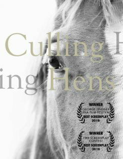 Смотреть Culling Hens в HD качестве 720p-1080p
