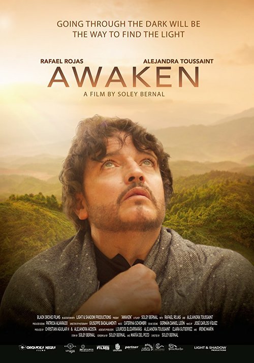 Смотреть Despertar: Awaken в HD качестве 720p-1080p