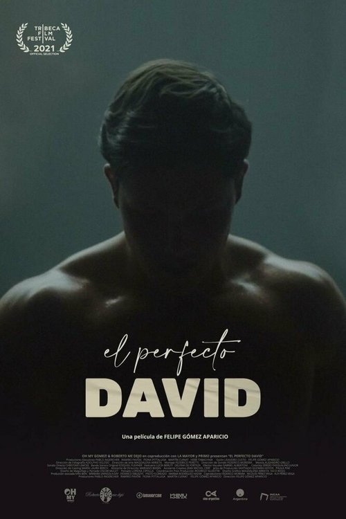 Смотреть El perfecto David в HD качестве 720p-1080p