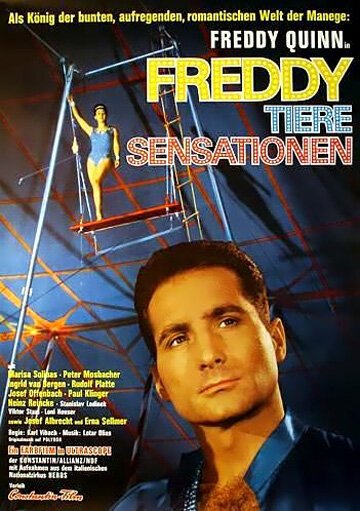 Смотреть Freddy, Tiere, Sensationen в HD качестве 720p-1080p