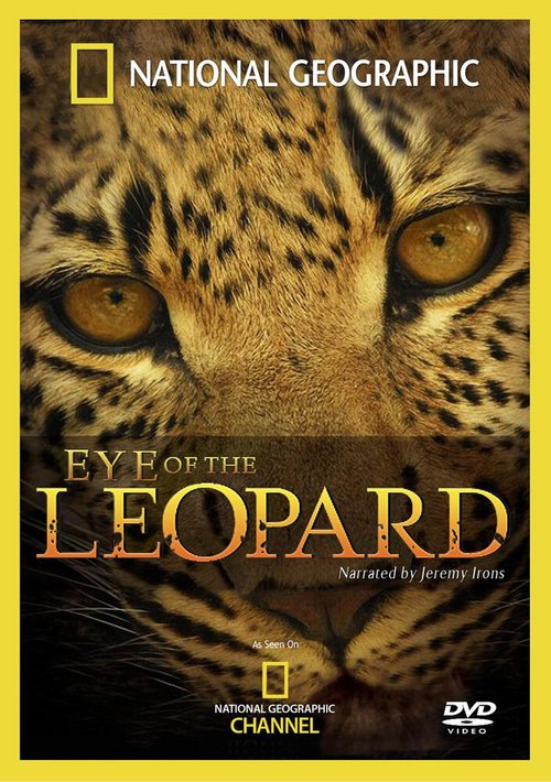 Смотреть Глазами леопарда в HD качестве 720p-1080p