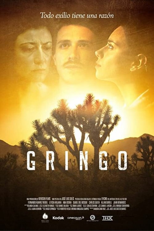 Смотреть Gringo в HD качестве 720p-1080p
