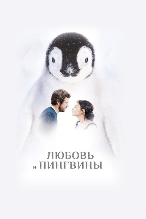 Смотреть Любовь и пингвины онлайн в HD качестве 720p-1080p