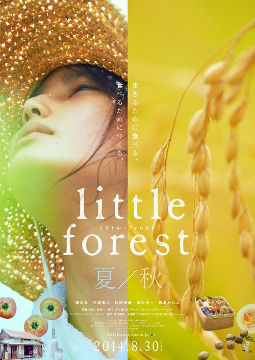 Смотреть Небольшой лес: Лето и осень онлайн в HD качестве 720p-1080p