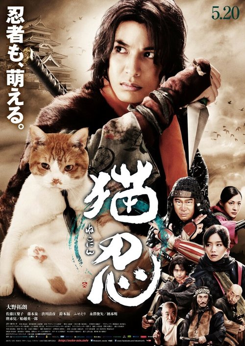 Смотреть Ниндзя и кот онлайн в HD качестве 720p-1080p