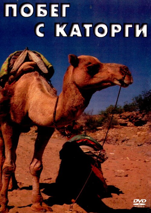 Смотреть Побег с каторги онлайн в HD качестве 720p-1080p
