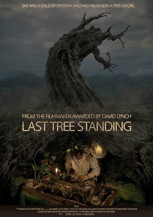 Смотреть Последнее оставшееся дерево онлайн в HD качестве 720p-1080p