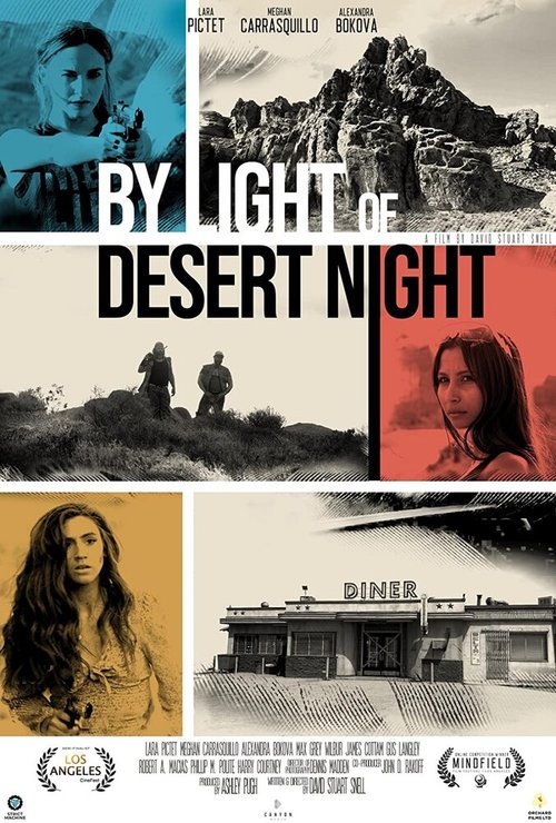 Смотреть При свете пустынной ночи онлайн в HD качестве 720p-1080p