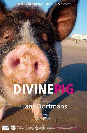 Смотреть Священная свинья онлайн в HD качестве 720p-1080p