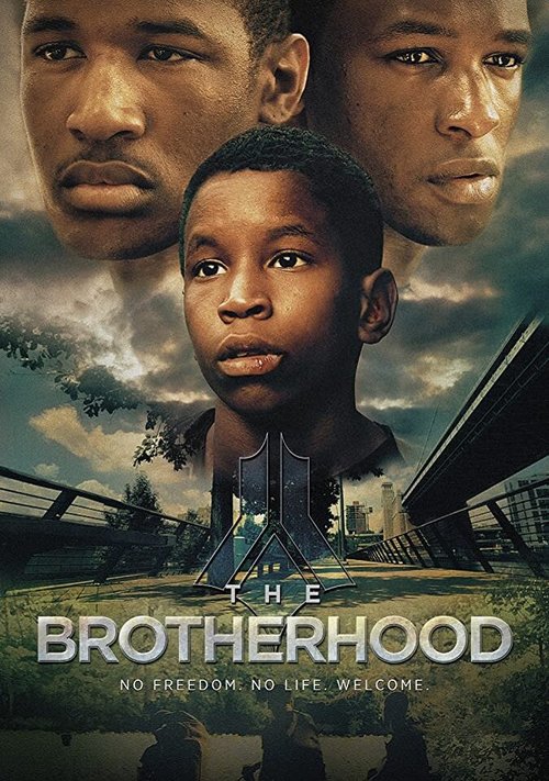 Смотреть The Brotherhood в HD качестве 720p-1080p