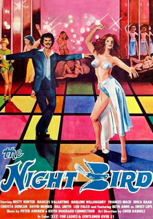 Смотреть The Night Bird в HD качестве 720p-1080p