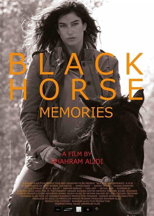 Смотреть Вспоминая черную лошадь онлайн в HD качестве 720p-1080p