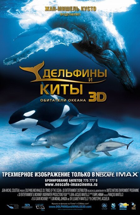 Смотреть Дельфины и киты 3D онлайн в HD качестве 720p-1080p