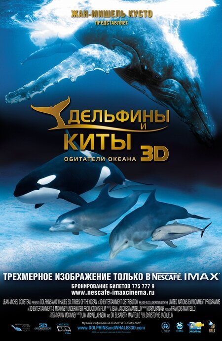Смотреть Дельфины и киты 3D онлайн в HD качестве 720p-1080p