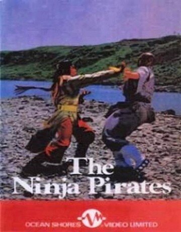 Смотреть Ниндзя пираты онлайн в HD качестве 720p-1080p