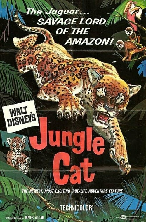 Смотреть Дикая кошка джунглей онлайн в HD качестве 720p-1080p